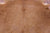 Brown Natural Cowhide Rug - X-Large 7' 5"H x 7' 2"W