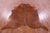 Brown Natural Cowhide Rug - X-Large 7' 3"H x 6' 0"W