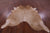 Light Brown Natural Cowhide Rug - X-Large 7' 0"H x 6' 5"W
