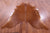 Brown Natural Cowhide Rug - XX-Large 8' 0"H x 6' 6"W