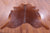 Brown Natural Cowhide Rug - X-Large 7' 2"H x 6' 8"W