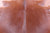 Brown Natural Cowhide Rug - X-Large 7' 2"H x 6' 8"W