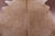 Beige Natural Cowhide Rug - X-Large 7' 0"H x 6' 6"W