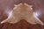 Light Brown Natural Cowhide Rug - X-Large 7' 5"H x 6' 9"W