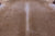 Light Brown Natural Cowhide Rug - XX-Large 7' 9"H x 6' 6"W