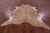 Light Brown Natural Cowhide Rug - XX-Large 7' 9"H x 7' 0"W