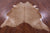 Light Brown Natural Cowhide Rug - XX-Large 7' 9"H x 6' 2"W