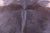 Dark Brown Natural Cowhide Rug - X-Large 7' 6"H x 7' 3"W