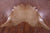 Light Brown Natural Cowhide Rug - XX-Large 7' 10"H x 7' 2"W