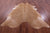 Light Brown Natural Cowhide Rug - XX-Large 8' 0"H x 6' 10"W