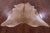 Light Brown Natural Cowhide Rug - X-Large 7' 5"H x 6' 8"W