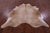 Light Brown Natural Cowhide Rug - X-Large 7' 2"H x 6' 7"W