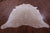 Brown Salt & Pepper Natural Cowhide Rug - XX-Large 9' 0"H x 7' 4"W