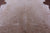 Brown Salt & Pepper Natural Cowhide Rug - XX-Large 9' 0"H x 7' 4"W