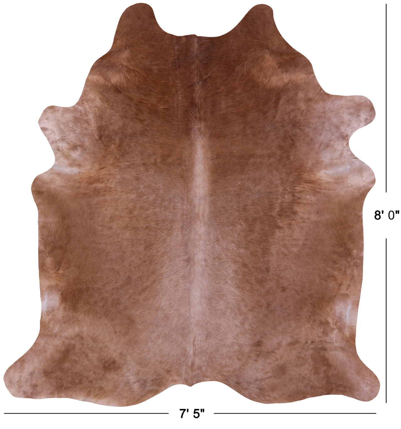 Light Brown Natural Cowhide Rug - XX-Large 8' 0"H x 7' 5"W