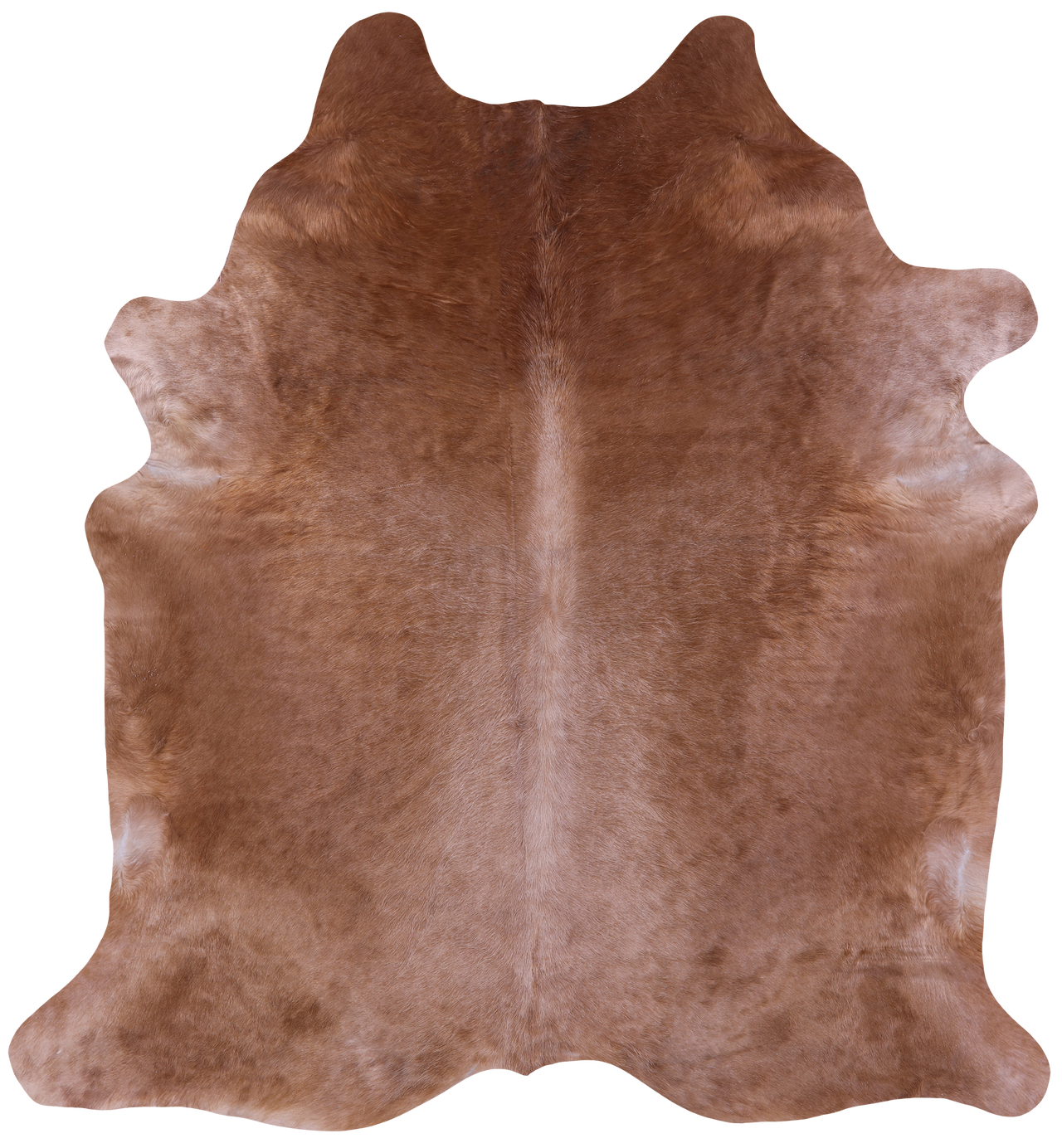 Light Brown Natural Cowhide Rug - XX-Large 8' 0"H x 7' 5"W