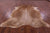 Light Brown Natural Cowhide Rug - XX-Large 8' 0"H x 7' 5"W