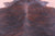 Dark Brindle Natural Cowhide Rug - XX-Large 8' 4"H x 7' 6"W