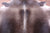 Dark Brown Natural Cowhide Rug - XX-Large 8' 4"H x 7' 2"W