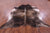 Light Brindle Natural Cowhide Rug - XX-Large 8' 8"H x 7' 5"W