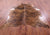 Light Brindle Natural Cowhide Rug - XX-Large 8' 3"H x 7' 2"W