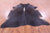 Dark Brown Natural Cowhide Rug - XX-Large 8' 1"H x 7' 2"W