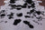 Black & White Natural Cowhide Rug - XX-Large 9' 0"H x 7' 5"W