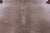 Beige Natural Cowhide Rug - XX-Large 8' 3"H x 7' 2"W