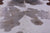 Grey & White Natural Cowhide Rug - XX-Large 8' 5"H x 7' 7"W
