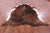 Brindle Natural Cowhide Rug - XX-Large 8' 6"H x 7' 7"W