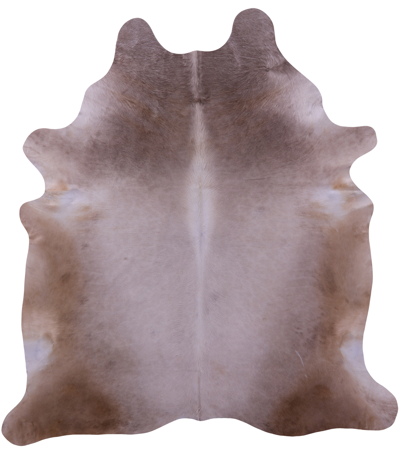 Champagne Natural Cowhide Rug - XX-Large 8' 3"H x 7' 5"W
