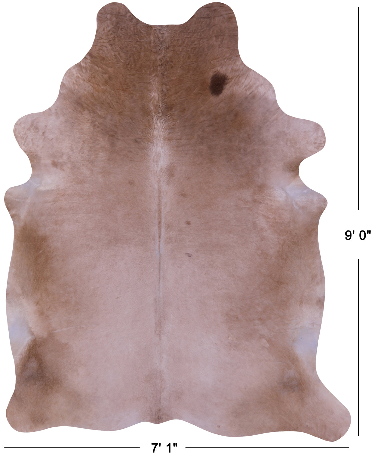 Light Brown Natural Cowhide Rug - XX-Large 9' 0"H x 7' 1"W