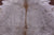 Champagne Natural Cowhide Rug - XX-Large 8' 0"H x 7' 5"W