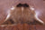 Light Brindle Natural Cowhide Rug - XX-Large 8' 7"H x 7' 3"W