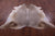 Champagne Natural Cowhide Rug - XX-Large 8' 5"H x 7' 4"W