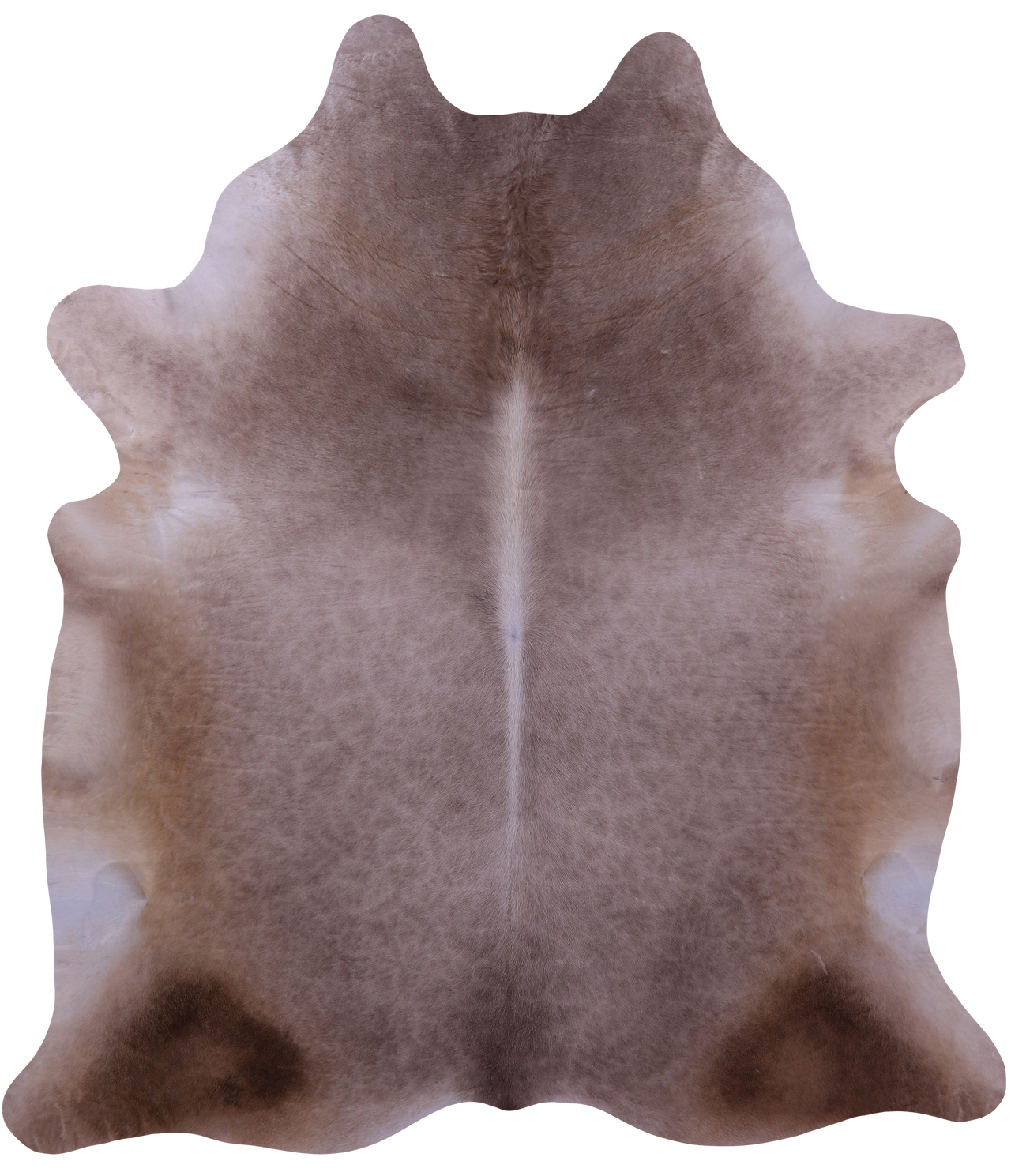 Champagne Natural Cowhide Rug - XX-Large 8' 5"H x 7' 4"W