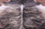 Light Brindle Natural Cowhide Rug - XX-Large 8' 7"H x 7' 3"W