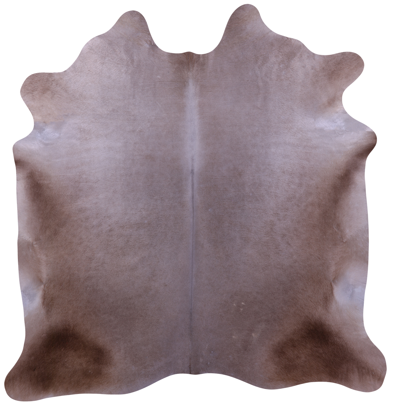 Champagne Natural Cowhide Rug - X-Large 7' 0"H x 6' 7"W