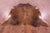 Brown Natural Cowhide Rug - XX-Large 7' 4"H x 6' 10"W