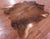Brown Natural Cowhide Rug - XX-Large 7' 4"H x 6' 10"W