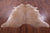 Light Brown Natural Cowhide Rug - XX-Large 7' 7"H x 7' 0"W