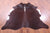 Dark Brown Natural Cowhide Rug - XX-Large 7' 10"H x 6' 2"W