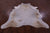 Champagne Natural Cowhide Rug - XX-Large 8' 5"H x 7' 0"W