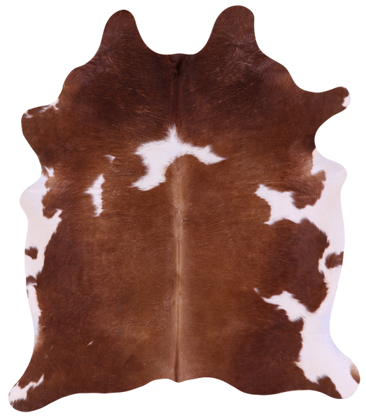 Brown & White Natural Cowhide Rug - X-Large 7' 0"H x 6' 0"W