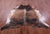 Light Brindle Natural Cowhide Rug - XX-Large 7' 6"H x 6' 8"W
