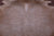 Light Brown Natural Cowhide Rug - XX-Large 8' 0"H x 7' 2"W