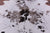 Brown Salt & Pepper Natural Cowhide Rug - XX-Large 7' 7"H x 6' 10"W
