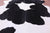 Black & White Natural Cowhide Rug - XX-Large 8' 6"H x 7' 4"W
