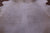 Beige Natural Cowhide Rug - XX-Large 7' 6"H x 7' 0"W