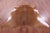 Brown Natural Cowhide Rug - XX-Large 7' 9"H x 6' 10"W